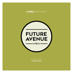 Cumele - Dynamic Hook [Future Avenue]