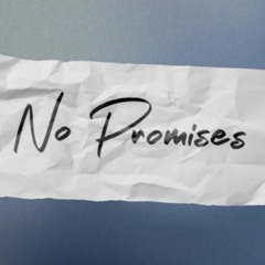 No promises (Aboogie remix)