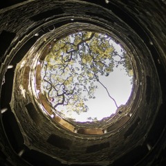 REN-Wishing Well (2022 Melody Collection Beat Contest)