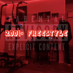 2001© freestyle