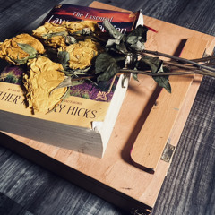 You Love Dead Flowerz (PROD. LOWBOY)