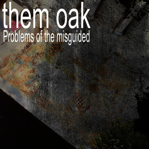 problems of the misguided