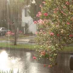 heybinji - rain drops and flowers w/ aydn park