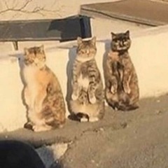 VERATOSE(w/GOATBREATH & snoman2icy)[prod. jobert]