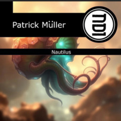 Patrick Müller - Electro way (Original Mix)
