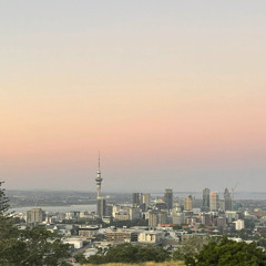 13th jan 2026 Vinyl Combat show live on Jungletrain