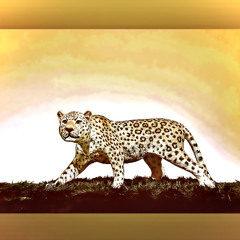 Jaguar Vivo Riddim