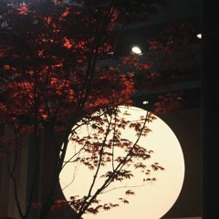 l'automne et novembre