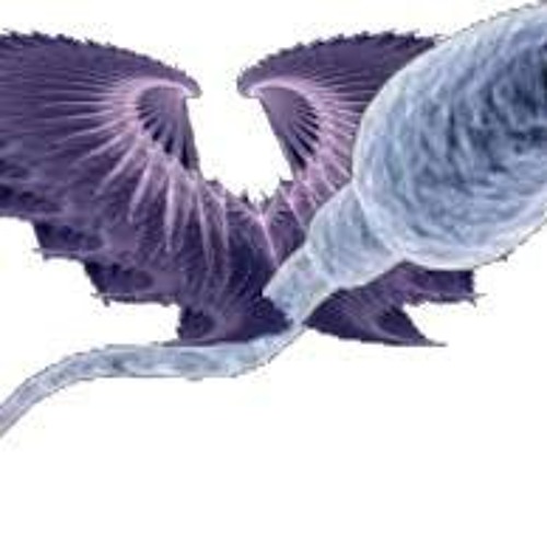 ESPERMATOZOIDE VOADOR X A PARADA É PUTARIA - 170 BPM.mp3