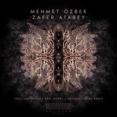 Mehmet Özbek & Zafer Atabey - Divergence (Unlighted Remix)