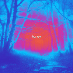 LOST in the LIGHT (FREE DL)