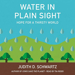 GET EPUB ✓ Water in Plain Sight: Hope for a Thirsty World by  Judith D. Schwartz,Tia