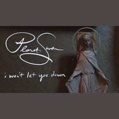 I WON'T LET YOU DOWN