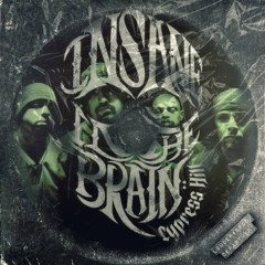 Cypress Hill x Pau-Pee - Insane In The Brain Pt. 2  (South States Style Re-work) HD