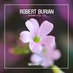 Robert Burian -  I Wanna Feel You