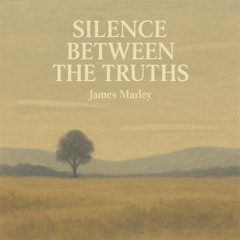 silence between the truths