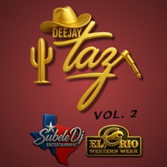 Dj Taz - Country Mix Vol 2