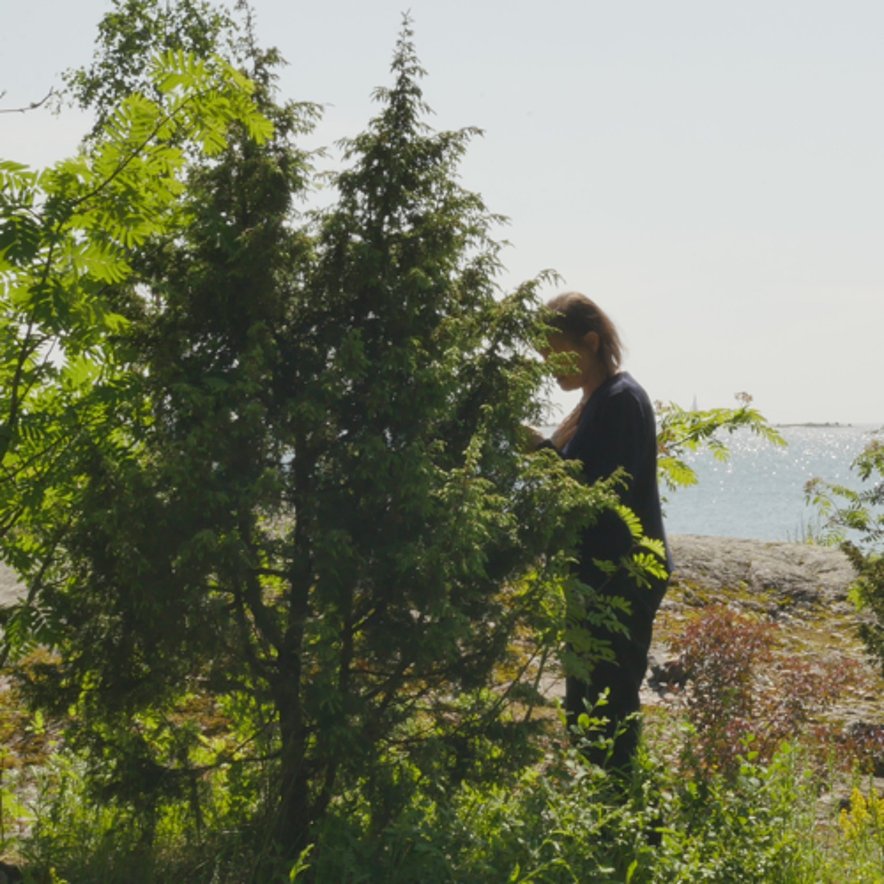 With the Juniper in Suomenlinna-6 episode artwork
