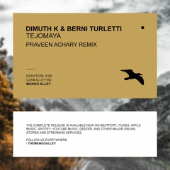 Dimuth K & Berni Turletti - Tejomaya (Praveen Achary Remix) [Mango Alley]