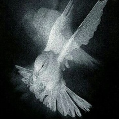 Way2Paranoid (PROD. MARDEE) *OG VERSION*