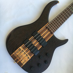 Peavey Cirrus 5 Walnut+Wenge USA Bass