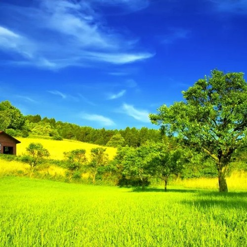 ژاپن background loop FREE DOWNLOAD