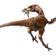 Troodon