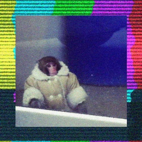 Stream King Kong Gonna Win Godzilla by Pink Listen online for free on