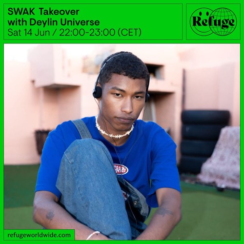 SWAK  - Deylin Universe  - 14 Jun 2025