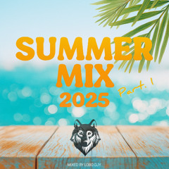 Summer Mix 2025 Part.1 By Lobo Djy