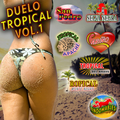 Stream Cumbia morena by Tropical del Bravo | Listen online for free on  SoundCloud