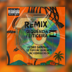 PEDRO SAMPAIO - Sequência Feiticeira (TFD VIP Remix)