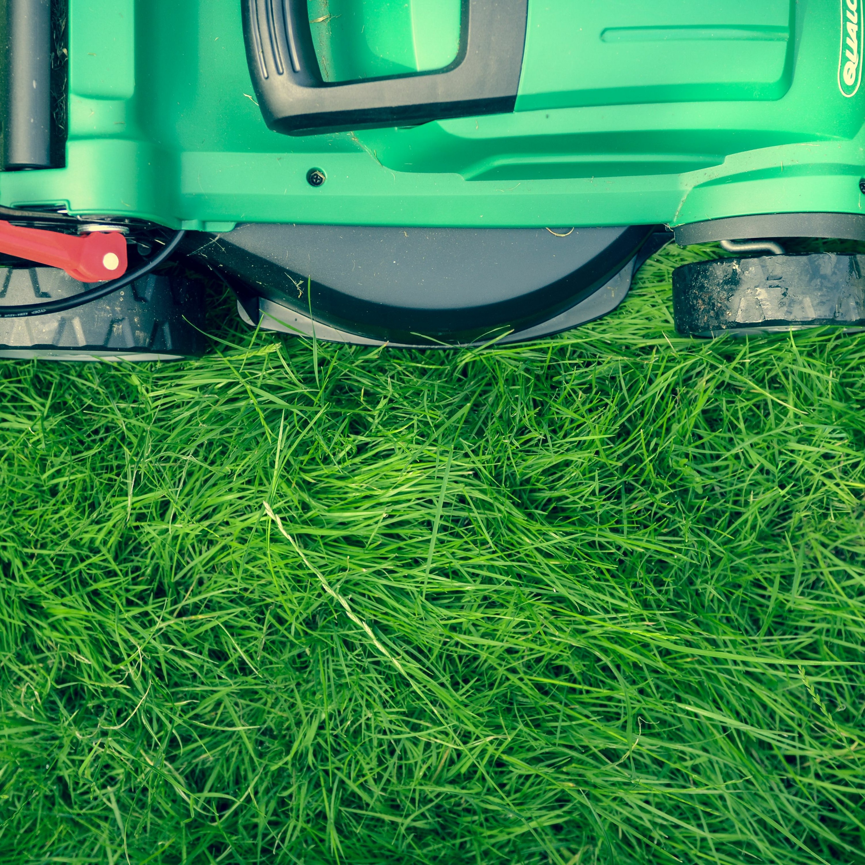 Mercredis Ecologie - Youmatter