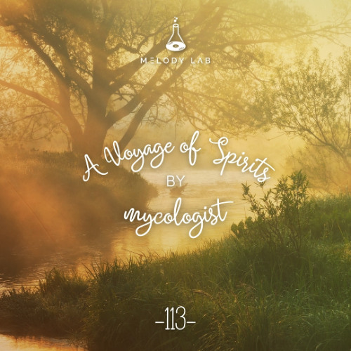 A Voyage of Spirits by mycologist ⚗ VOS 113