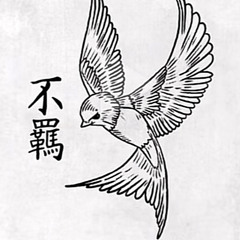 novo amor & ed tullett ontario slowed