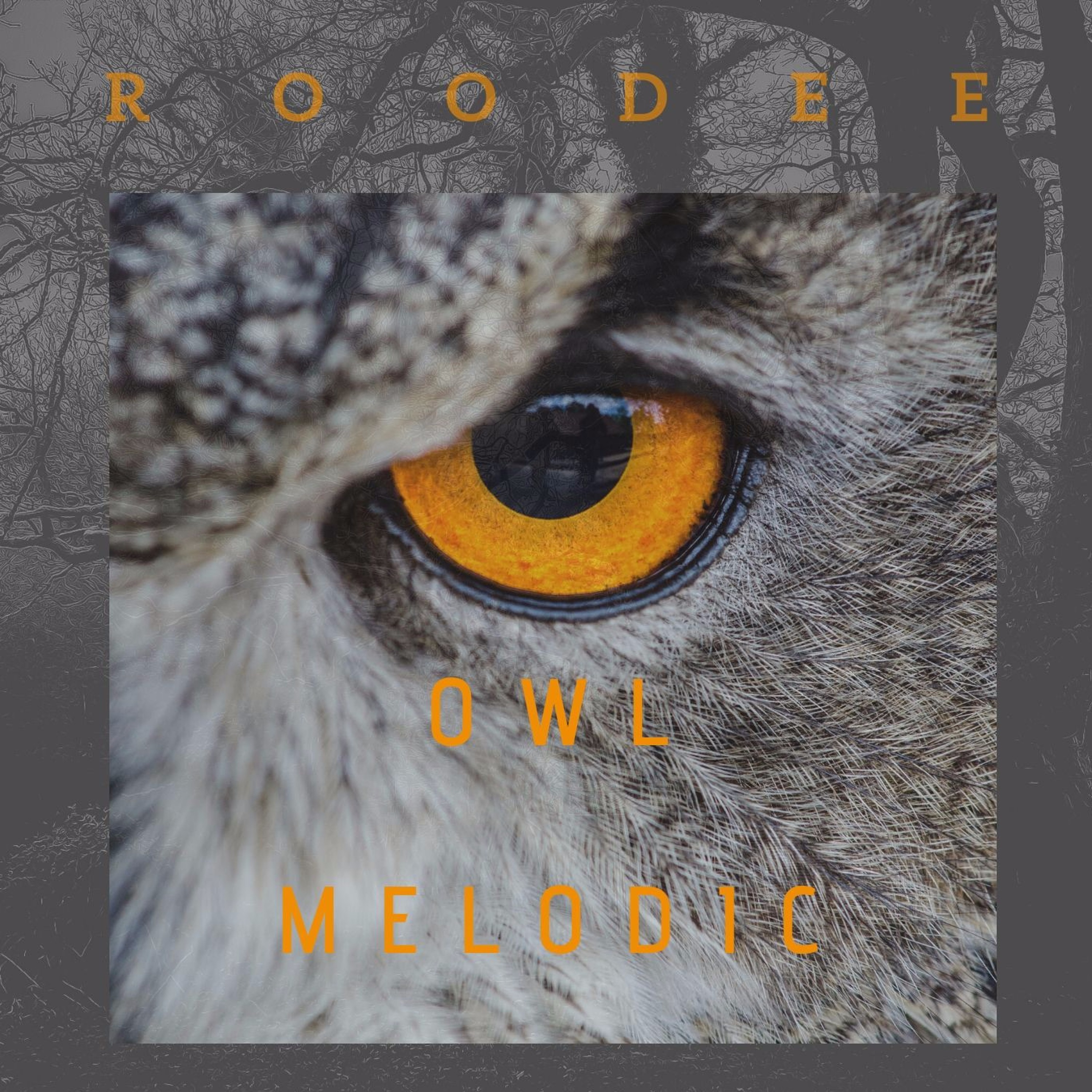 ROODEE