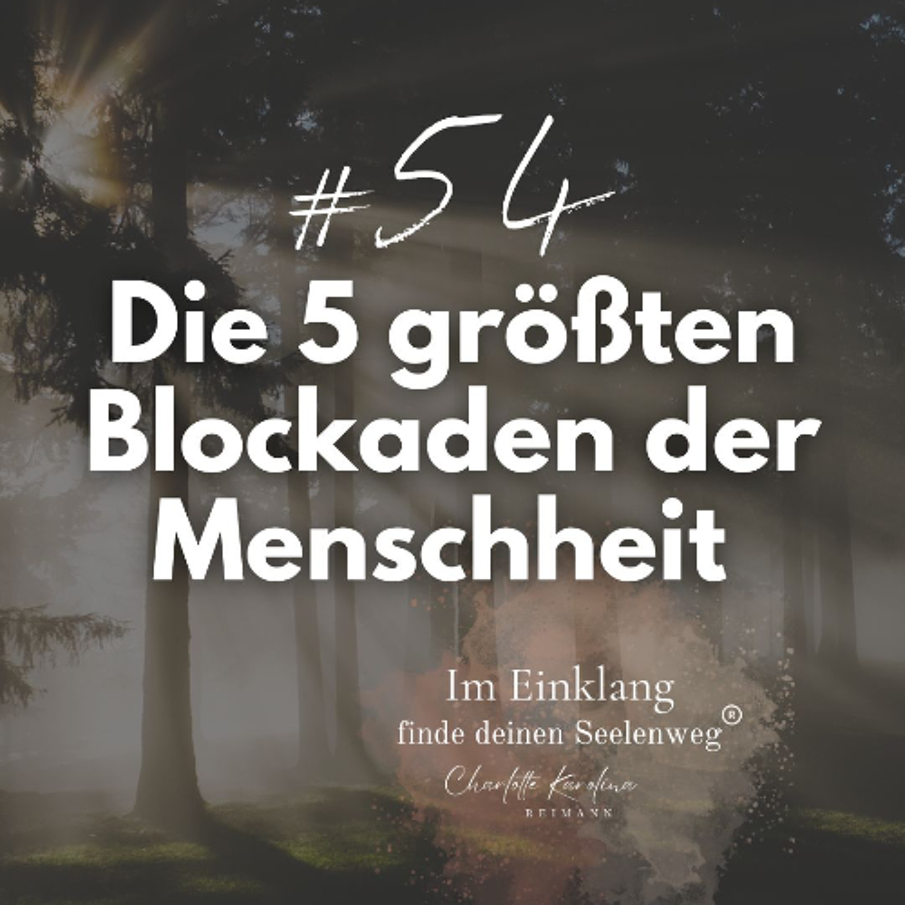 Im Einklang - finde Deinen Seelenweg