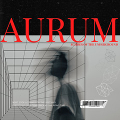 Echoes of the Underground