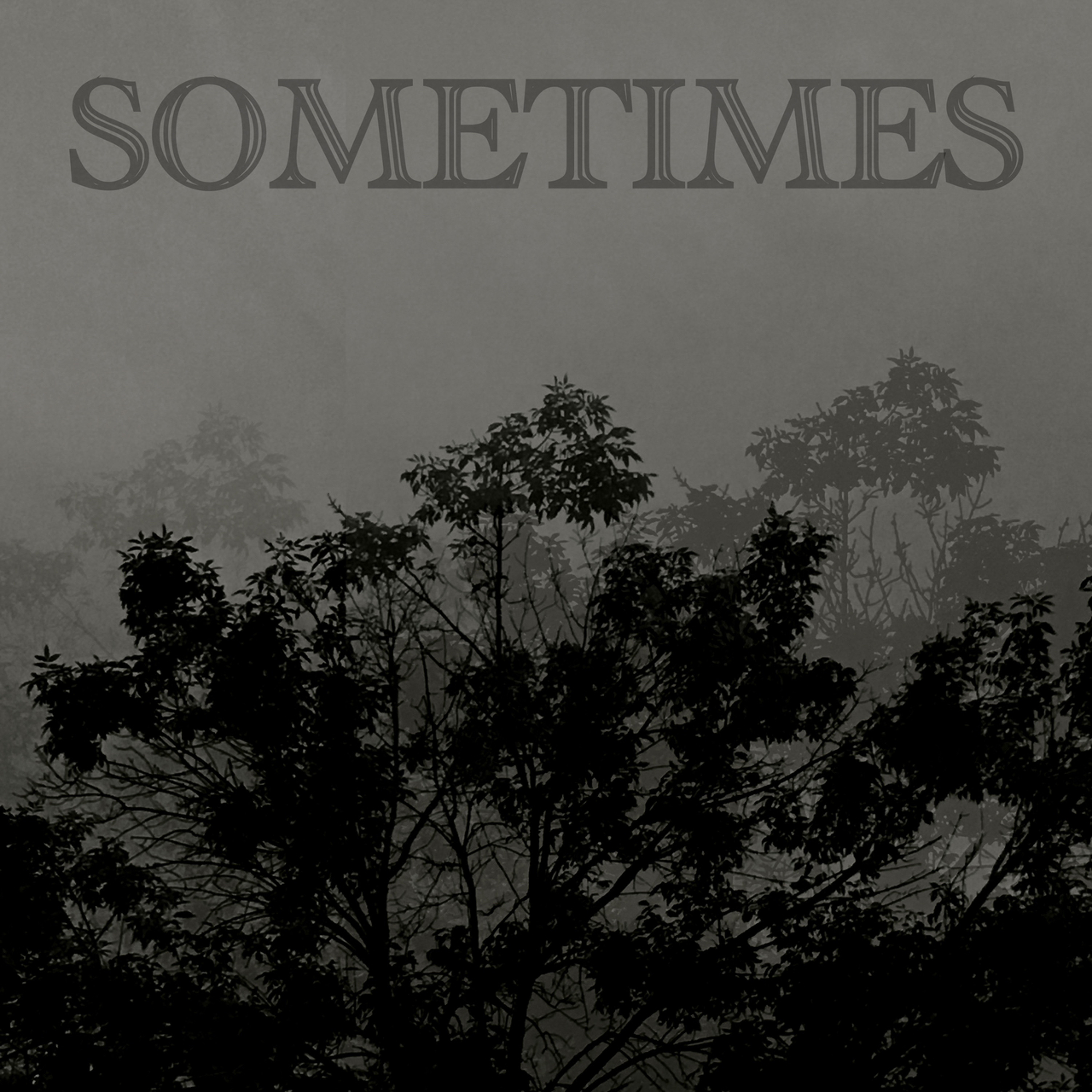 Sometimes episode artwork