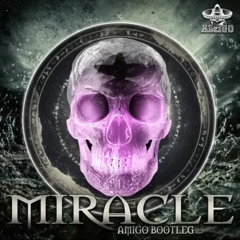 Calvin Harris & Ellie Goulding - Miracle (Amigo Bootleg)