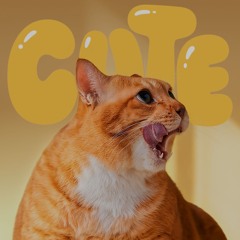 Last Dance bữa tiệc cuối cùng