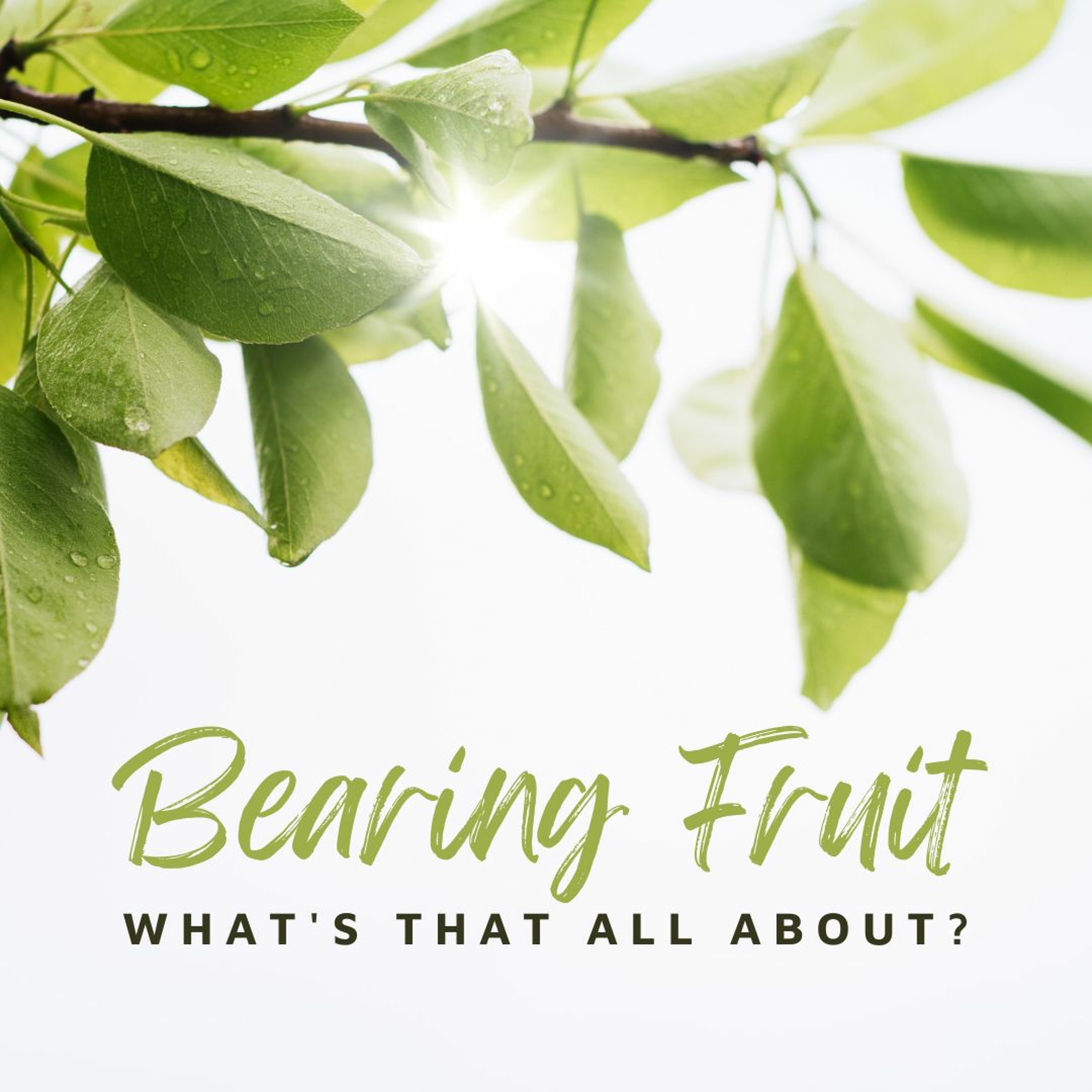 Bearing Fruit - Jonathan M episode artwork