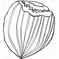 Hunger @ Freemotion Performance Crew