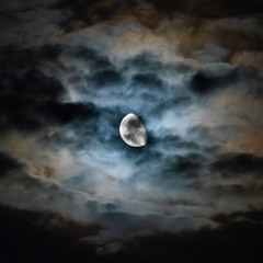 彩云追月 Moon-Kissed Clouds (With English Translation)