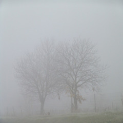 (FREE) YUNG LEAN X AMBIENT X CLOUD RAP TYPE  BEAT "MUSCIMOL 4"