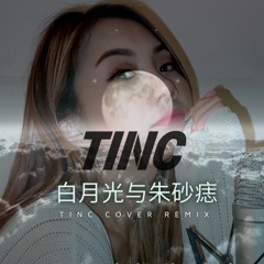 白月光与朱砂痣 - TINC Cover Remix
