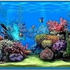 Screensaver 2001 (Demo)