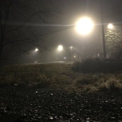 Snares of Pripyat _ echoes