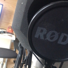 beginnings freestyle