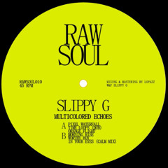 PREMIERE: Slippy G - Morning Rise [RAWSOUL010]